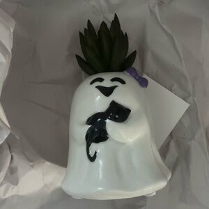 Halloween Ghost holding Black Cat Planter Pot Faux Succulent Plant